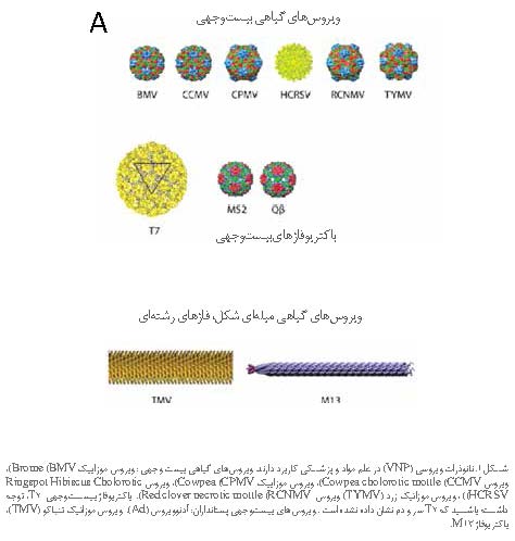 کاربرد نانوذرات ویروسی در پزشکی