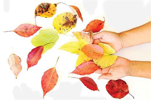 کارت دعوت پاییز برای شما
