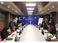 نشست خبری پنجاه‌ویکمین جشنواره فیلم رشد