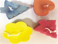 ماجراهای مدرسه ای در یک جزیره