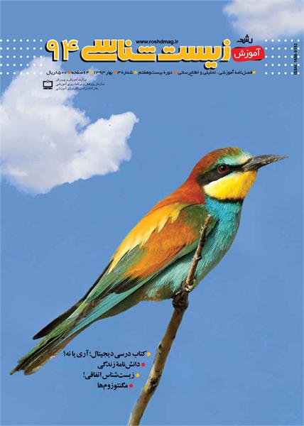 همه چیز درباره آلكالوئیدها