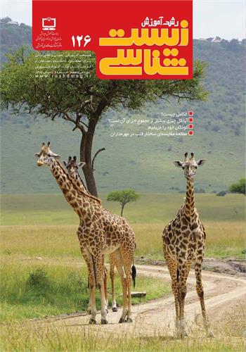 رشد آموزش زیست‌شناسی؛ شماره ۱۲۶. زمستان ۱۴۰۲