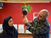 گوشه های سبز