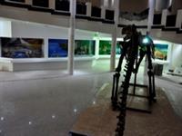 موزه علوم ‌زمین اداره کل زمین‌ شناسی و اکتشافات معدنی منطقه شمال شرق کشور.