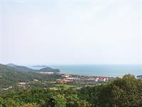 اردو های بین المللی، محیط هایی برای تبادل فرهنگ