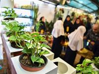 گوشه های سبز