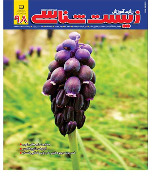 فاژ درمانی در انسان