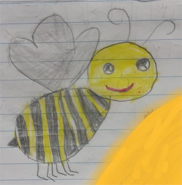 تبسم زهرا طور سوادکوهی