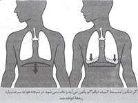 دانش صداسازی