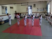 فلسفه هنر رزمی کاراته