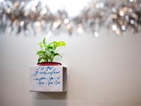 گوشه های سبز