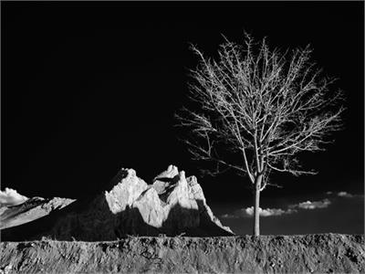 گرایش دانش‌آموزی: مریم اسماعیل زاد قلقاچی از استان آذربایجان شرقی شهر تبریز