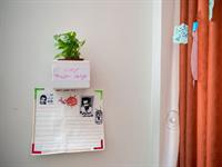 گوشه های سبز