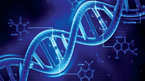 استخراج DNA از سلول های موجود در بزاق دهان با روشی بسیار ساده