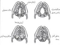 دانش صداسازی