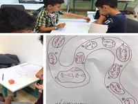 ماجراهای مدرسه ای در یک جزیره