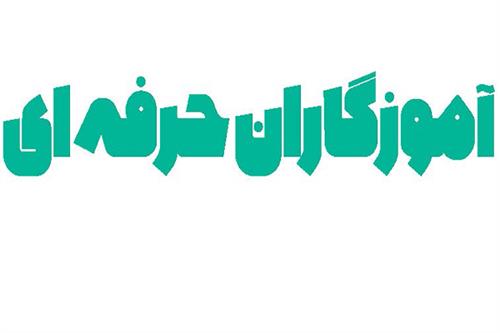 آموزگاران حرفه‌ای