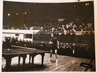 پینگ‌ پنگ از مدرسه تا قهرمان