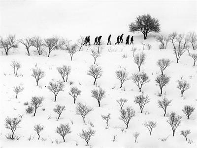 عکس شایسته تقدیر گرایش ایران سرزمین پرگهر: آریز قادری