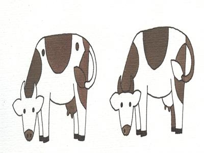 تصویرسازی . کد 10298