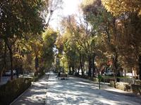خیابان چهار باغ اصفهان