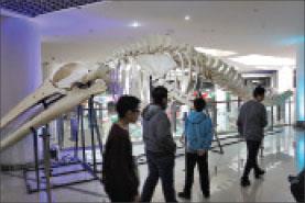 یادگیری در تونل زمان