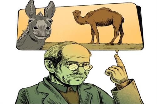 عادت