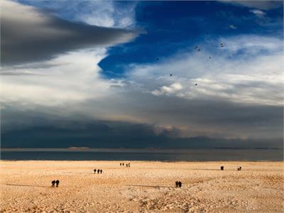 گرایش دانش‌آموزی: مریم اسماعیل زاد قلقاچی از استان آذربایجان شرقی شهر تبریز