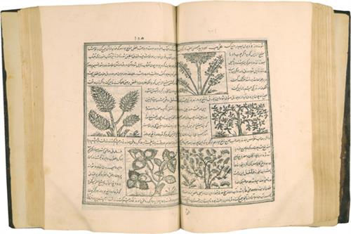 نوسازی زبان زیست‌شناسی