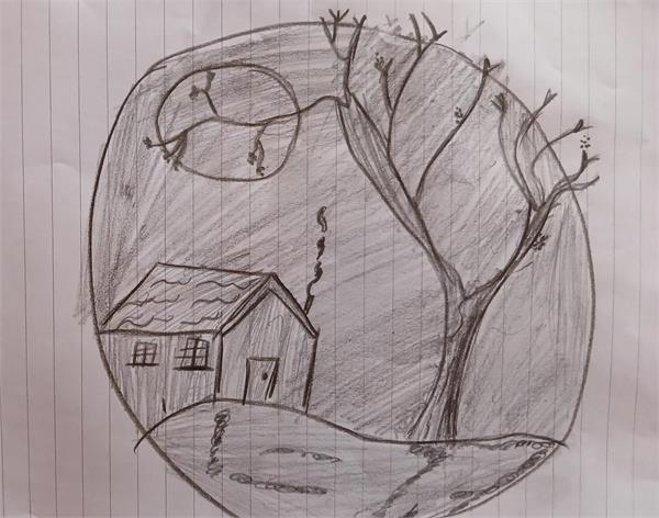 آنیسا باقری