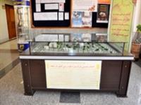 موزه علوم ‌زمین اداره کل زمین‌ شناسی و اکتشافات معدنی منطقه شمال شرق کشور.