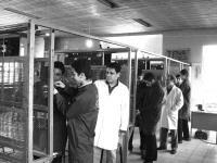 فراتحلیلی به آموزش های فنی ‌و حرفه‌ ای با تأکید بر برنامه ‌های درسی: چالش‌ ها و راهکارها