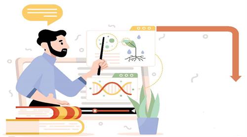 الگوی رایگلوث