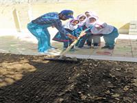 کاشت، داشت، برداشت