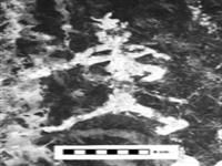 غار و اهمیت آن