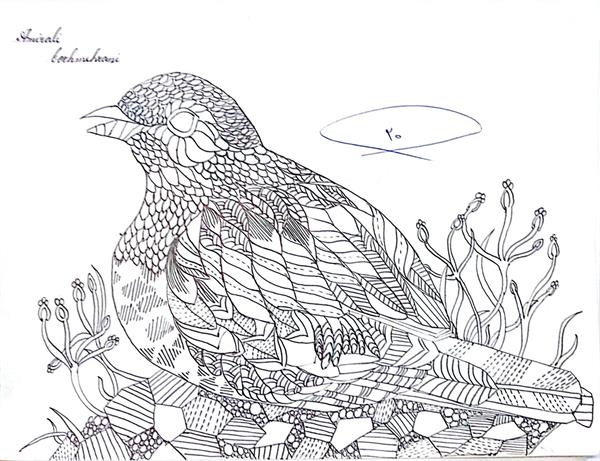 میلاد بور مهرانی