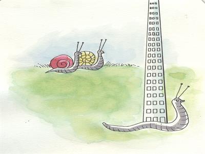 تصویرسازی . کد 10526