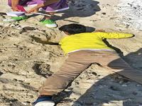 ماجرا های مدرسه ای در یک جزیره