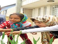 کاشت، داشت، برداشت