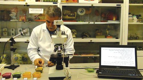 زمان مناسب برای تشریح