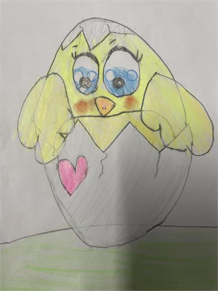 شایلین محمدی