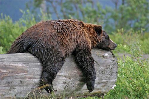 چه جوری می‌خوابم؟