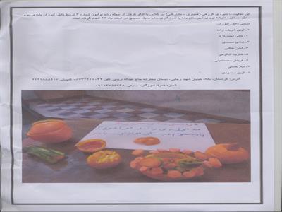 فعالیت دانش آموزان دبستان نویدی بانه