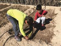 ماجراهای مدرسه ای در یک جزیره