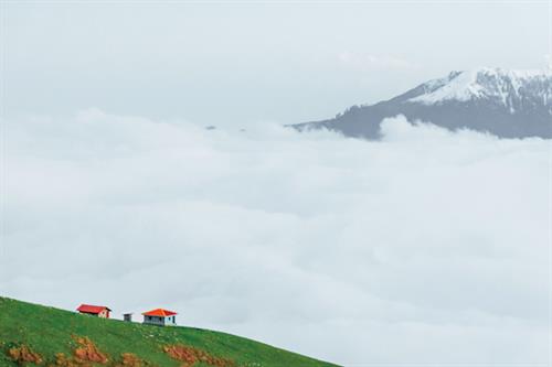 بیا با طبیعت مدارا کنیم