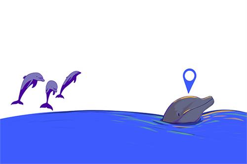 دلفین‌هایی که با GPS رصد می‌شوند