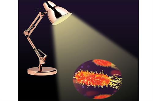 تأثیر نورهای مصنوعی لامپ‌ها بر میزان رشد باکتری‌ها