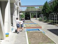 مدرسه ژاپنی