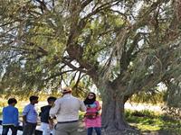 ماجرا های مدرسه ای در یک جزیره