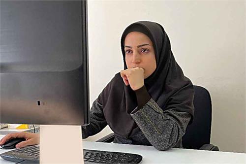 زبان‌های درآمدساز